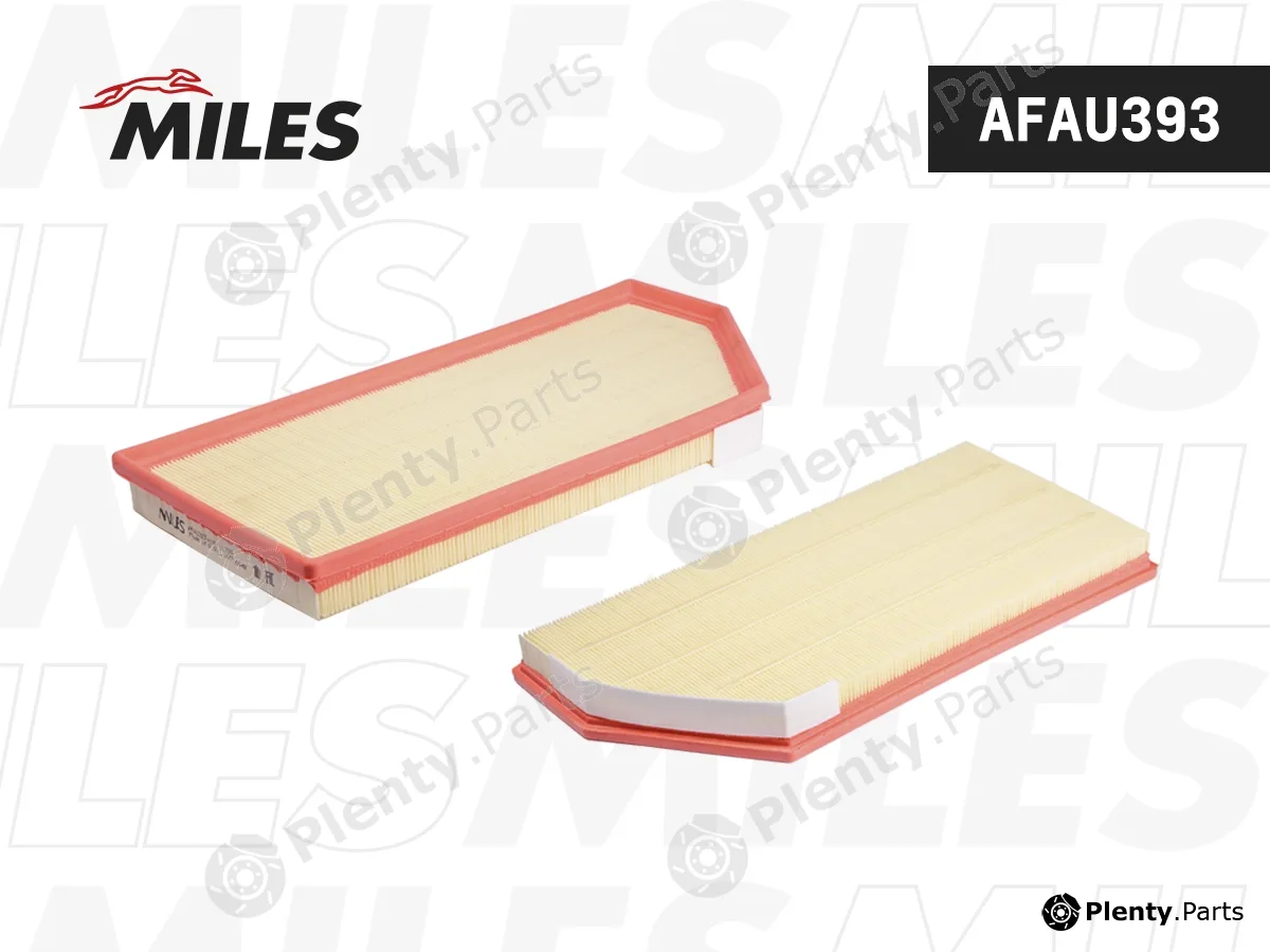 Miles AFAU393 — Air Filter