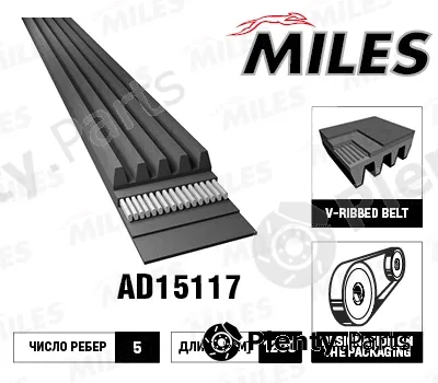 Miles AD15117 — V-Ribbed Belt