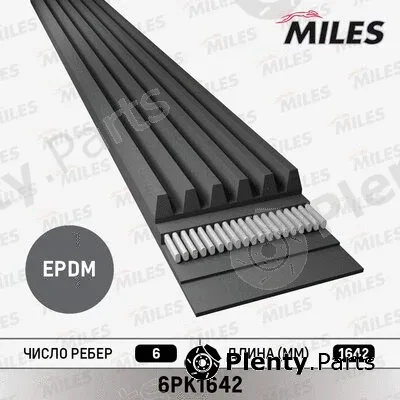 Miles 6PK1642 — V-Ribbed Belt