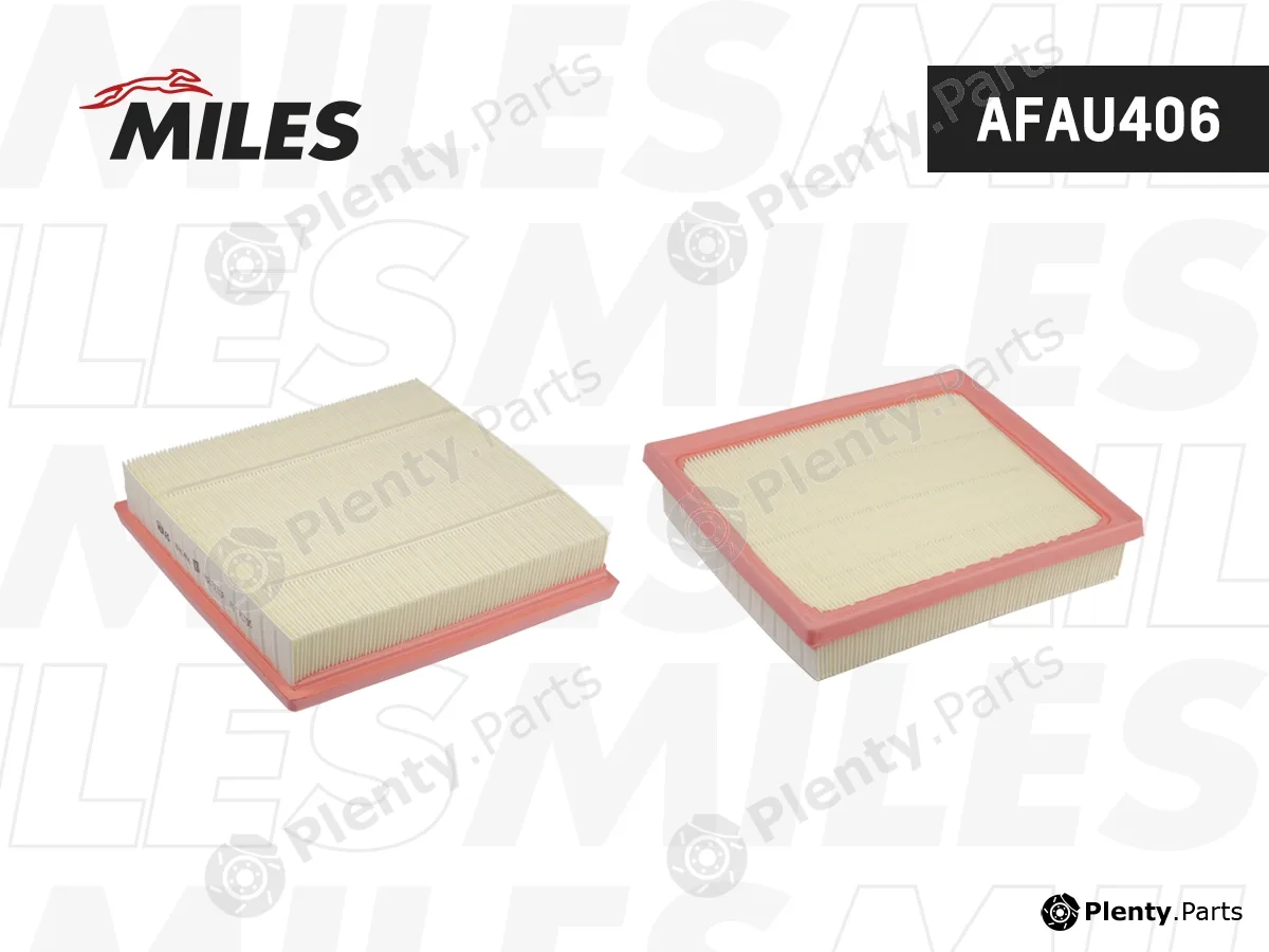 Miles AFAU406 — Air Filter