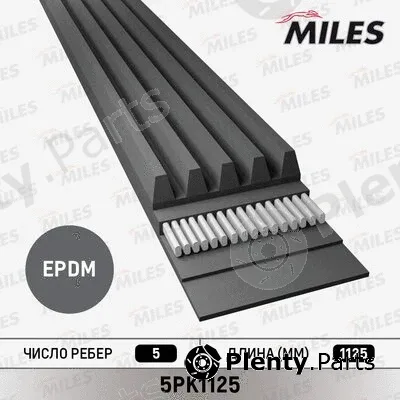 Miles 5PK1125 — V-Ribbed Belt
