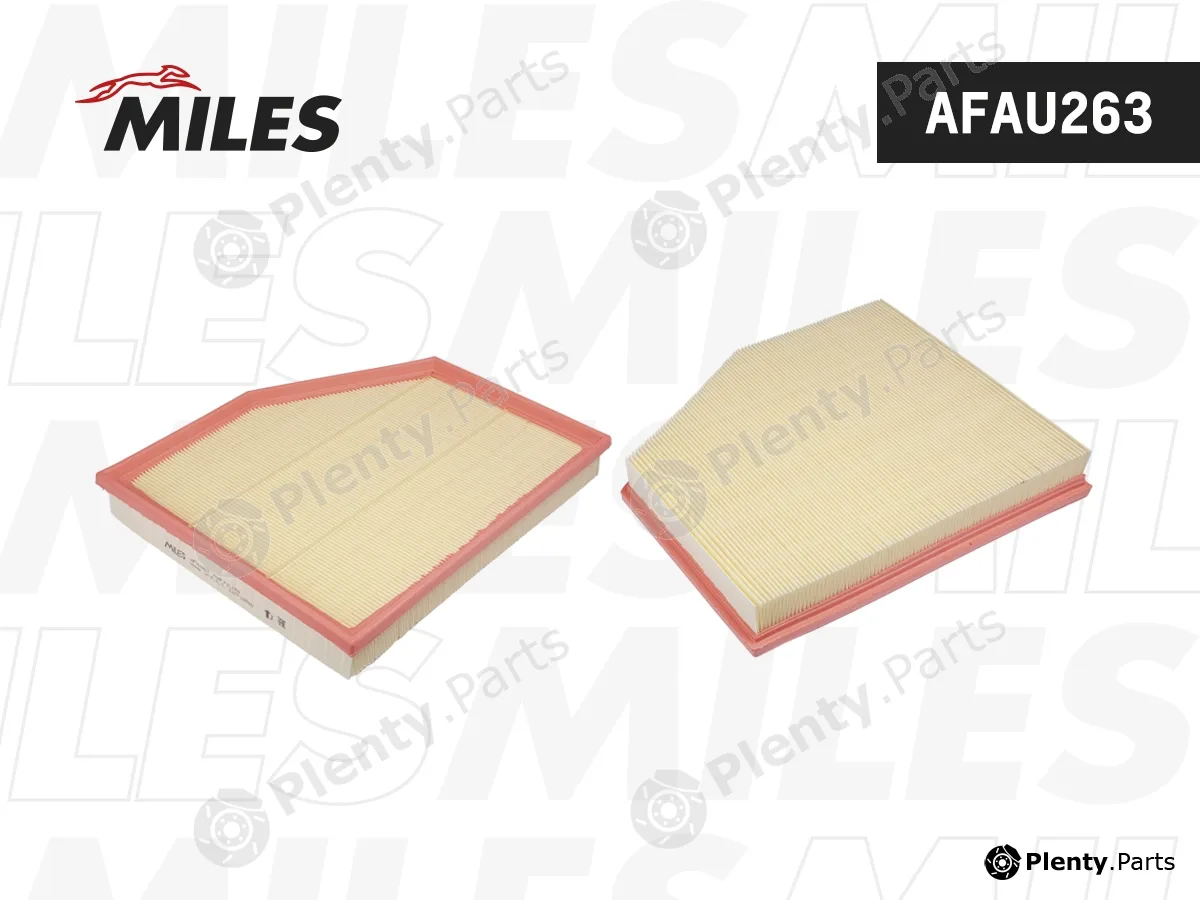 Miles AFAU263 — Air Filter