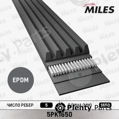 Miles 5PK1650 — V-Ribbed Belt