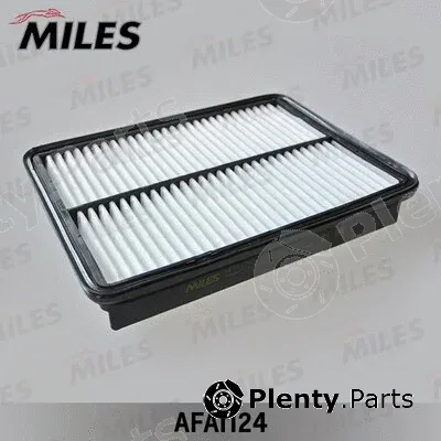Miles AFAI124 — Air Filter
