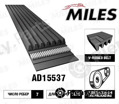 Miles AD15537 — V-Ribbed Belt