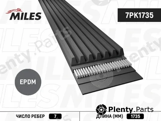 Miles 7PK1735 — V-Ribbed Belt