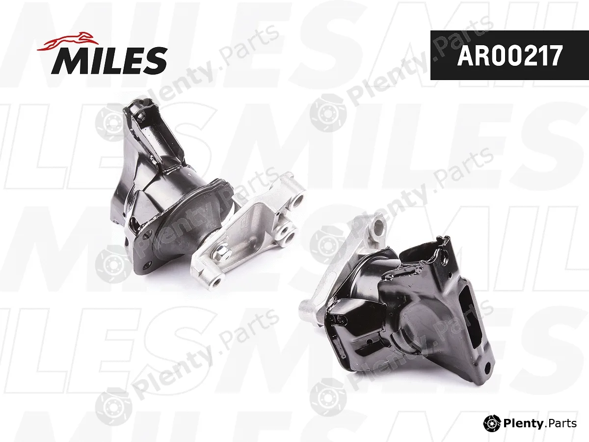 Miles AR00217 — Mounting, engine