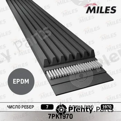 Miles 7PK1970 — V-Ribbed Belt