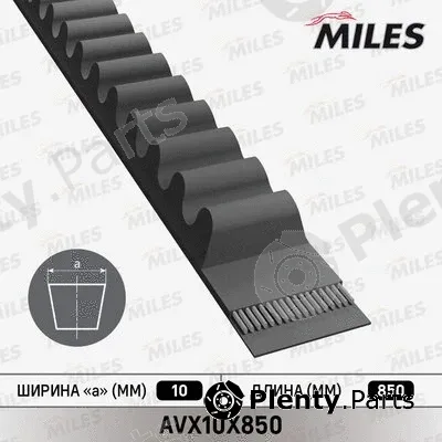 Miles AVX10X850 — V-Belt