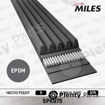 Miles 5PK975 — V-Ribbed Belt