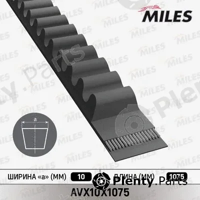 Miles AVX10X1075 — V-Belt