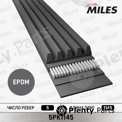 Miles 5PK1145 — V-Ribbed Belt