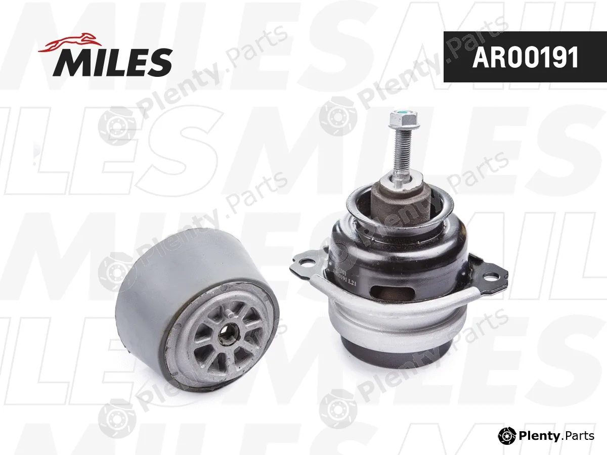 Miles AR00191 — Mounting, engine