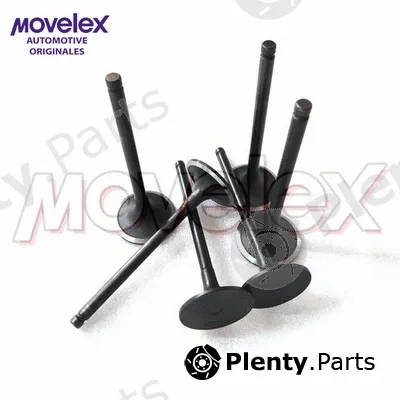 Movelex M12822 — Intake Valve