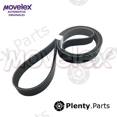 Movelex M00352 — V-Ribbed Belt