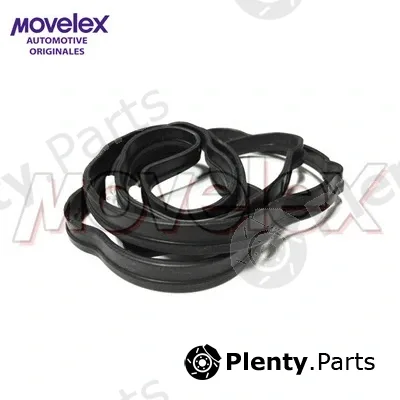 Movelex M08145 — Gasket, cylinder head cover