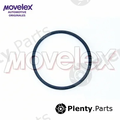 Movelex M00377 — Gasket, water pump
