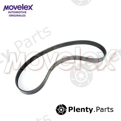 Movelex M21870 — V-Ribbed Belt