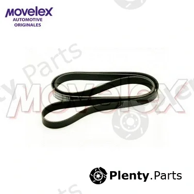 Movelex M04507 — V-Ribbed Belt