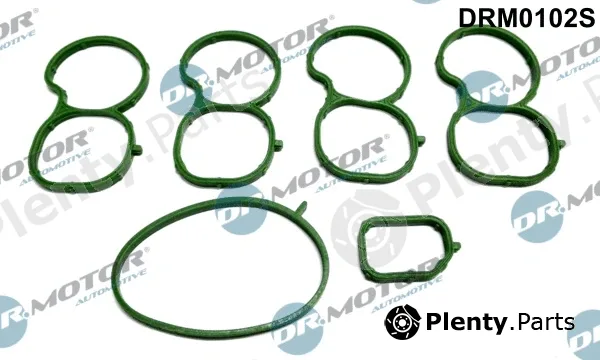 Dr.Motor Automotive DRM0102S — Gasket Set, intake manifold