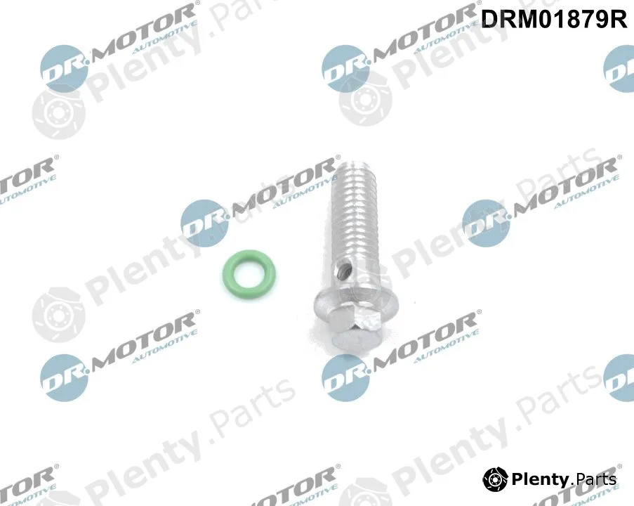 Dr.Motor Automotive DRM01879R — Repair Kit, oil pump