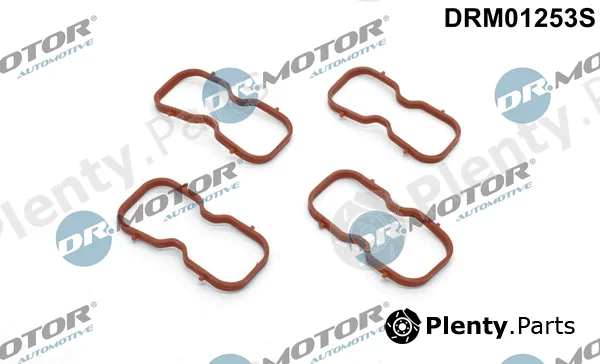 Dr.Motor Automotive DRM01253S — Gasket Set, intake manifold