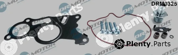 Dr.Motor Automotive DRM0325 — Repair Set, vacuum pump (braking system)