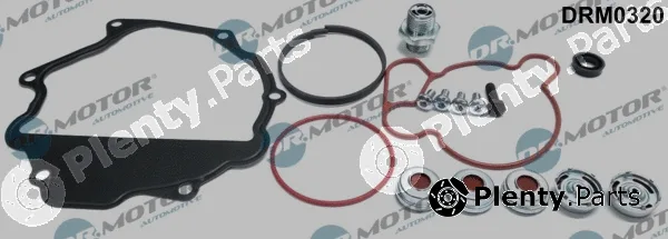Dr.Motor Automotive DRM0320 — Repair Set, vacuum pump (braking system)