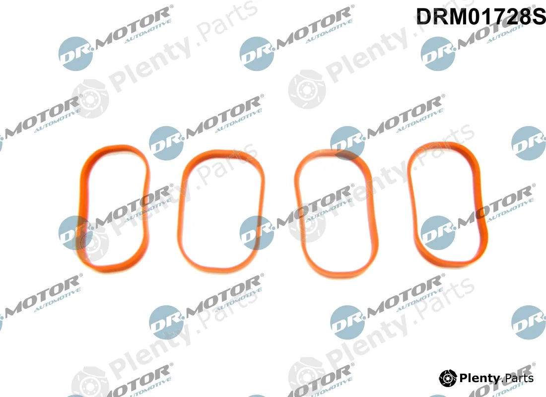 Dr.Motor Automotive DRM01728S — Gasket Set, intake manifold
