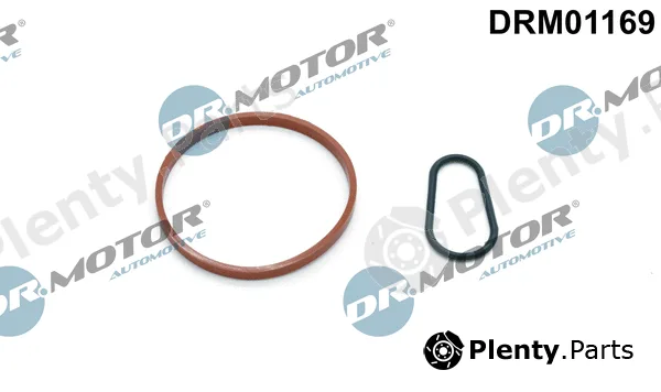 Dr.Motor Automotive DRM01169 — Seal Set, vacuum pump