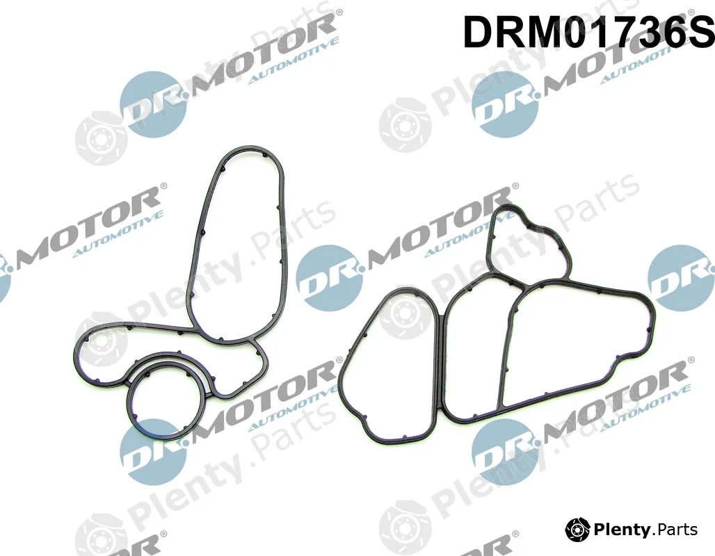 Dr.Motor Automotive DRM01736S — Gasket Set, oil cooler