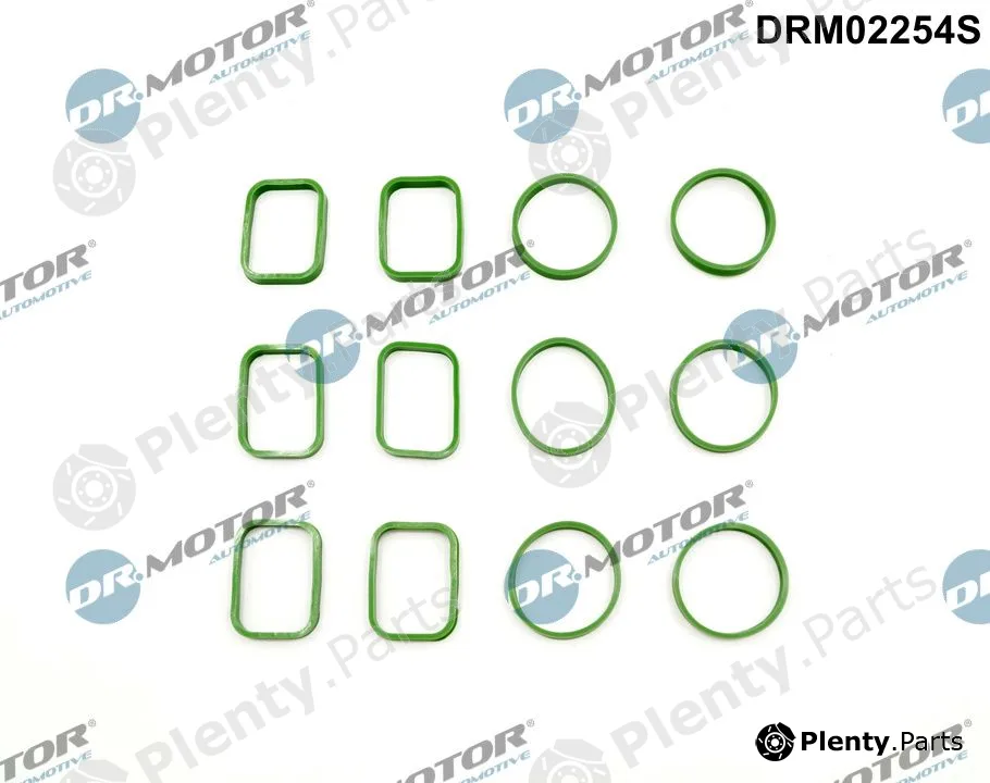 Dr.Motor Automotive DRM02254S — Gasket Set, intake manifold