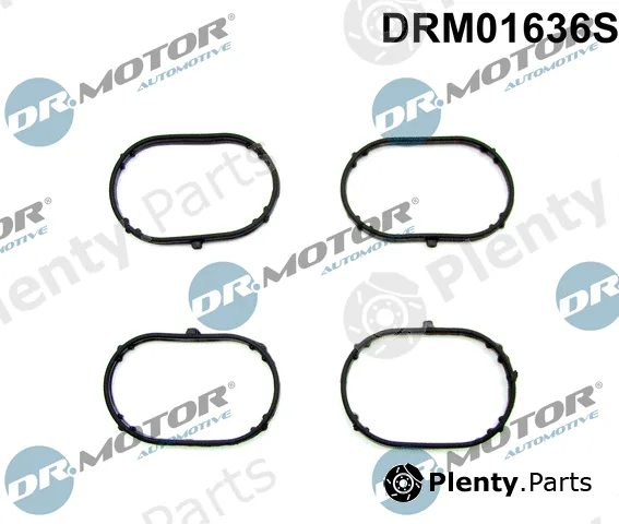Dr.Motor Automotive DRM01636S — Gasket Set, intake manifold
