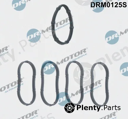 Dr.Motor Automotive DRM0125S — Gasket Set, intake manifold