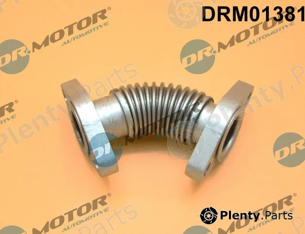 Dr.Motor Automotive DRM01381 — Pipe, EGR valve