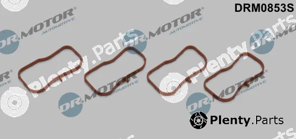 Dr.Motor Automotive DRM0853S — Gasket Set, intake manifold