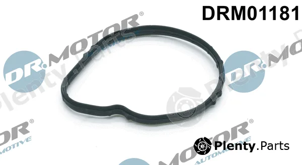 Dr.Motor Automotive DRM01181 — Seal, thermostat