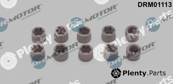 Dr.Motor Automotive DRM01113 — Repair Kit, air conditioning