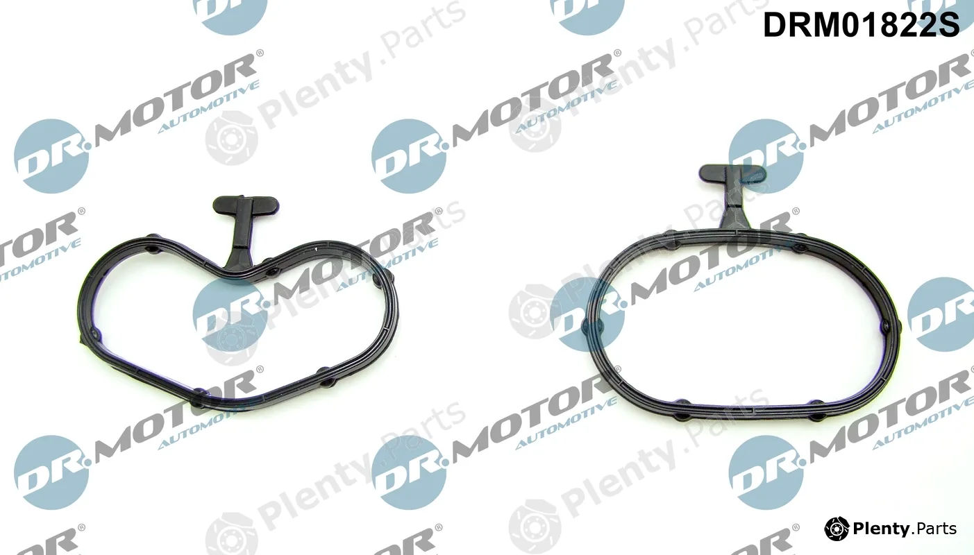 Dr.Motor Automotive DRM01822S — Gasket Set, oil cooler