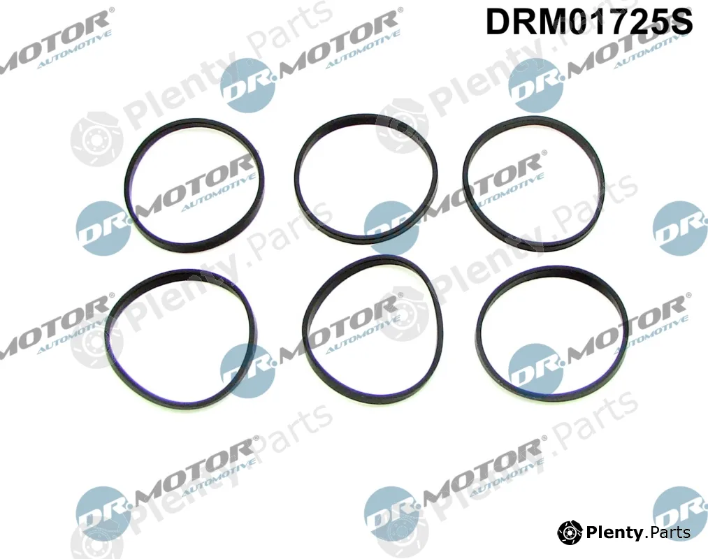 Dr.Motor Automotive DRM01725S — Gasket Set, intake manifold