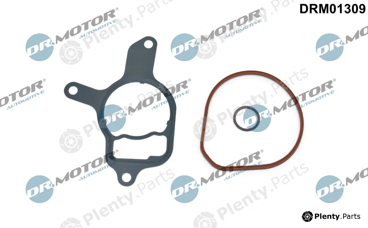 Dr.Motor Automotive DRM01309 — Seal Set, vacuum pump