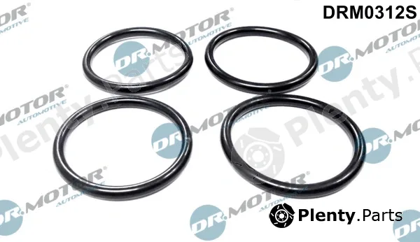 Dr.Motor Automotive DRM0312S — Gasket Set, intake manifold