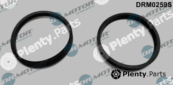 Dr.Motor Automotive DRM0259S — Gasket Set, intake manifold