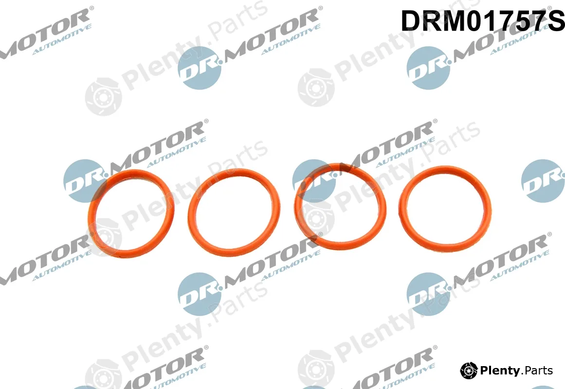 Dr.Motor Automotive DRM01757S — Gasket Set, intake manifold