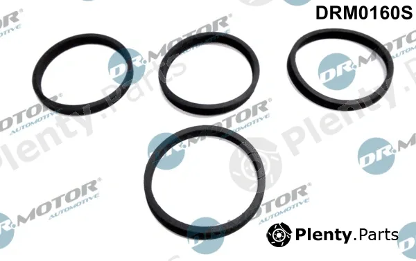 Dr.Motor Automotive DRM0160S — Gasket Set, intake manifold