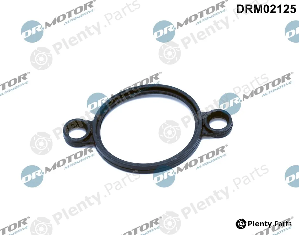 Dr.Motor Automotive DRM02125 — Seal, adjusting element (eccentric shaft)