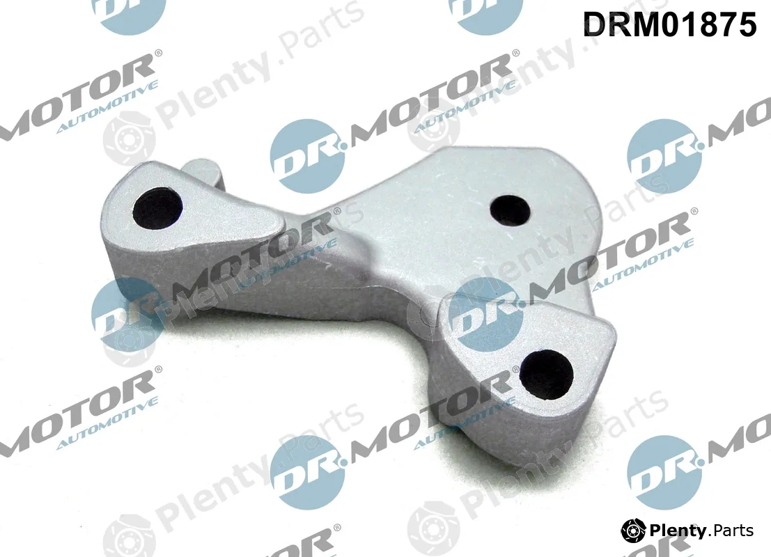 Dr.Motor Automotive DRM01875 — Mounting, engine