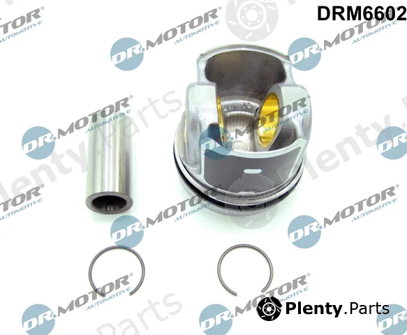 Dr.Motor Automotive DRM6602 — Partial Engine