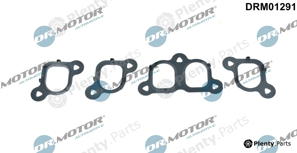 Dr.Motor Automotive DRM01291 — Gasket Set, intake manifold