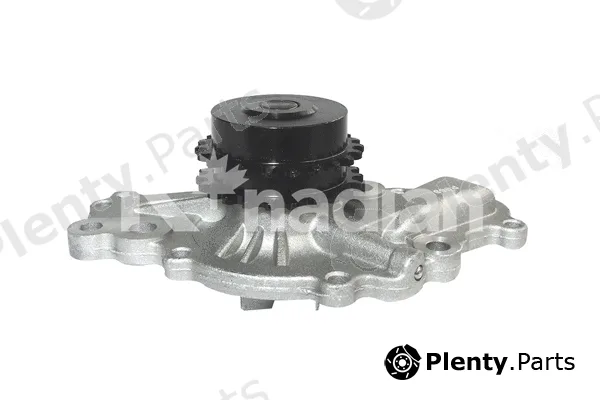 K'nadian P999 — Water Pump, engine cooling